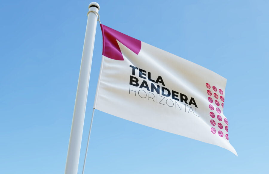 bandera 2